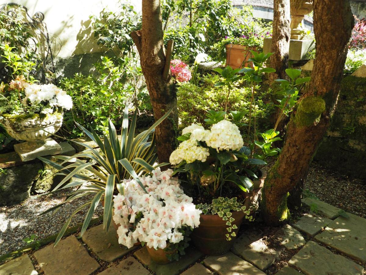 Casa Ella Bed & Breakfast Bagni di Lucca Exterior foto
